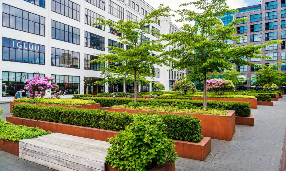 A Location that Works for Everyone